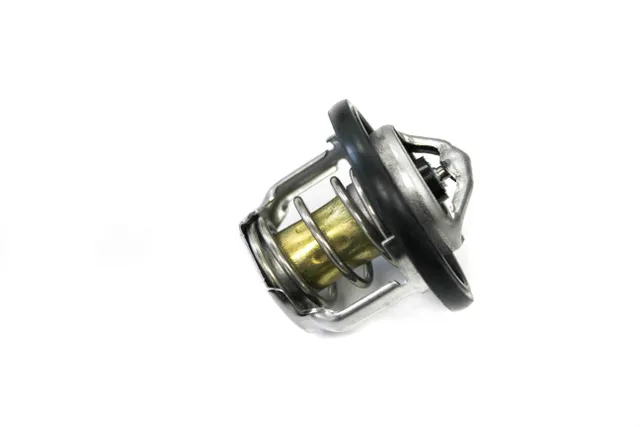 TERMOSTAT 2222.webp