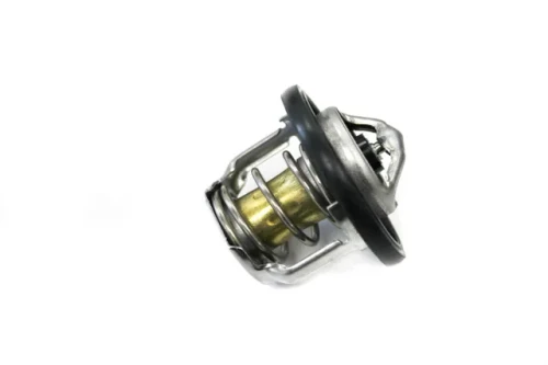 TERMOSTAT 2222.webp